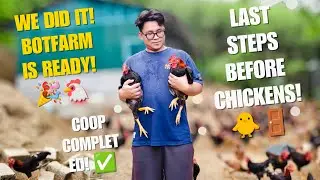 Finishing the Coop: Walls, Floor, Solar Lights, Doors & B40 Mesh | BotFarm Ep.4