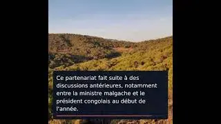 Madagascar et Congo-Brazzaville : Ensemble pour les for&ecirc;ts