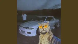 RALLY FUNK