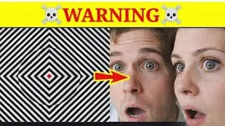 optical illusion live stream 🤯😮