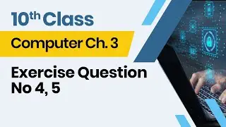 Computer Class 10 chapter 3 - 10th Class Computer Ch 3 - Exercise Question No 4, 5