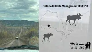Ontario 15B Moose Hunt 2025