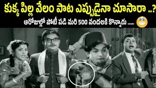 Have You Ever Seen a Puppy Auction?&rdquo; | A Shocking Scene from Gaali Medalu (1962) | N. T. Rama Rao