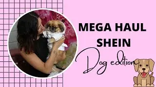 SHEIN HAUL: vestitini per cane e non solo edition