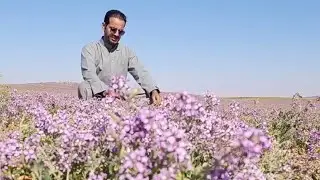 كشته خفيفة في ربيع حنيدر 2024