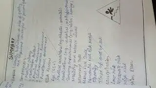 fall risk assessment
