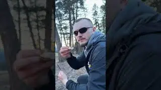 &ldquo;Campfire & Marshmallow in Canadian Forest | Cozy Forest Life&rdquo;