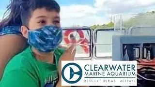 Clearwater Marine Aquarium Wildlife Boat Tour | Recorded before Winter's passing 😔