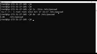 Check size of a file with du -sh