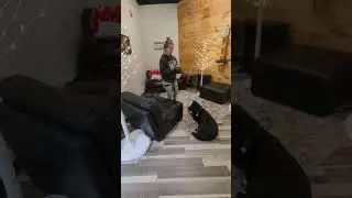Teaching A Dog To Hold Down Command (Implied Stay)