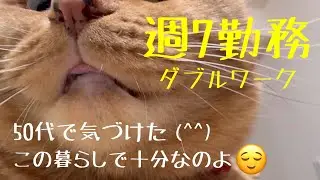 【猫のいる暮らし】50代一人暮らし、老後の幸せに気づいた。