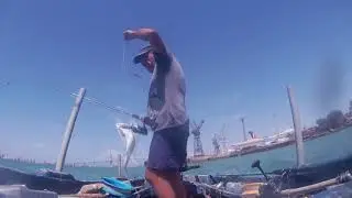 Pesca en el Puente carranza, Bahía de Cádiz, doradas y bailas. 25 de agosto de 2020