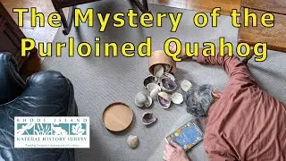 The Mystery of the Purloined Quahog