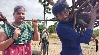 என்னோட தம்பி தூண்டில பிடிச்சுட்டு வந்த மீன என்ன செய்ய போறான் 