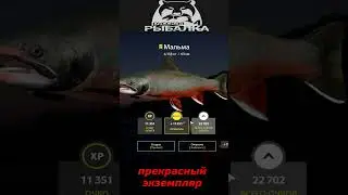 #shorts  #🎮прекрасный экземпляр🎮# Russian Fishing 4#