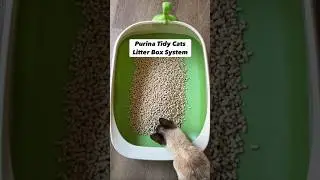 Purina Tidy Cats Litter Box System, BREEZE System Starter Kit #amazonfinds #amazonmusthaves #cats