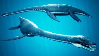 Lake champlain monster - Evidence!
