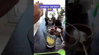 Fit Lavanta şerbeti