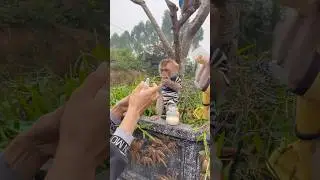 The baby monkey is waiting for its mother to prepare its milk.😋🍼