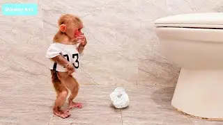 Kyo had a funny bathroom mishap — Dad rushed in right away!