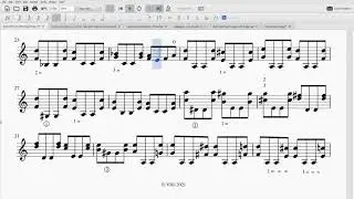 Enrico Polo Double Stops Study 15