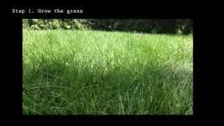 Mow Lawn in 20 seconds with iPhone 5 & Keizus Quadrapod+Clamp