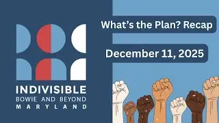 A candid review of Indivisible National 
