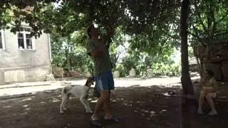 MOV01676