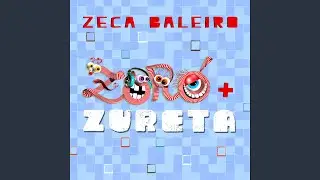 Deu Zebra
