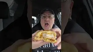 KFC Spicy Chicken Sandwich Meal Review Part 4c #kfc #chickensandwich