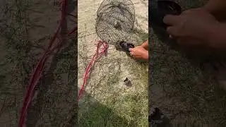 Syukur allahdulilah dapat lah seko buat ubat