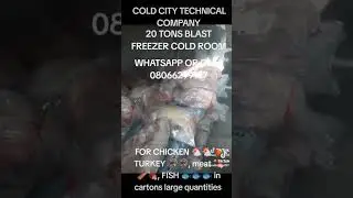 COLD ROOM BLAST FREEZER CHICKEN, TURKEY, MEAT, FISH etc WhatsApp or call 08066299127 COLD CITY TECH