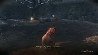 This is a pro horse channel - Sekiro