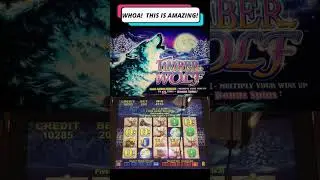 UNBELIEVABLY MASSIVE WIN on TIMBER WOLF SLOT MACHINE #SHORT #casino #bonus