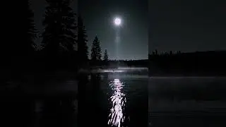Moonlight Reflections on a Quiet Lake &ndash; Peaceful Night in 4K   #moonlight #lakereflections