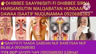 👉DAWAA/QORICHA/DHIBBEE SAAYINISIITI FI DHIBBEE SIRNA HARGANSUTIN WALQABATAN HUNDAAFU DAWAA ISAATIF