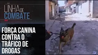 A EFICIÊNCIA DA FORÇA CANINA CONTRA O TRÁFICO DE DROGAS | LINHA DE COMBATE