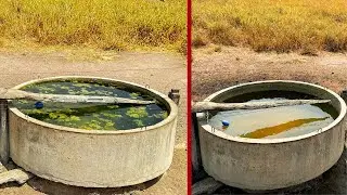 Limpeza de Bebedouro - Água de Qualidade no Ganho de Peso do Gado