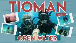 Our First Dive! 🦈 4D3N IN TIOMAN FOR PADI OPEN WATER 🌊
