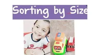 Size Sorting Activity |Size Concept|Kids learning with Toys|Concept|Brain Game|Preschool Part📝