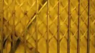 OSU Smith Lab Haughton Freight Elevator