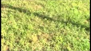Rock Kickbutt Trailer