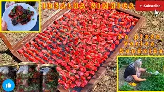 SUŠENJE PARADAJZA NA OTVORENOM- idealan dodatak svim jelima🩷