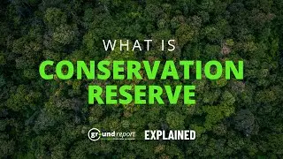 How Conservation Reserve Is Different From A Sanctuary? | Explained Hindi