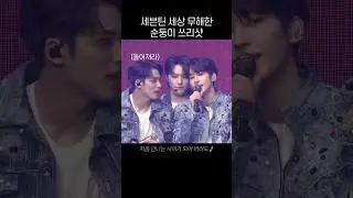 [세븐틴] 순둥순둥 힐링 그 자체