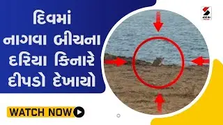 #diu માં #NagaoBeach ના દરિયા કિનારે  દીપડો દેખાયો@SandeshNewsTV