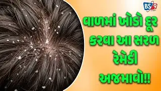Health | વાળમાં ખોડો વધી ગયો છે? અપનાવો આ ઘરેલું નુસખા અને મેળવો તાત્કાલિક રાહત! | BS9 TV NEWS