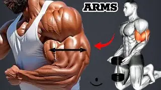 6 Fastest Exercises to Get Huge ARMS 