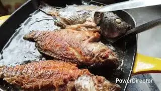 Tilapia ang aming ulam guys... 