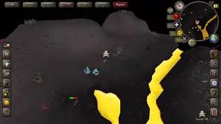 Hunting Runite Bots & Miners